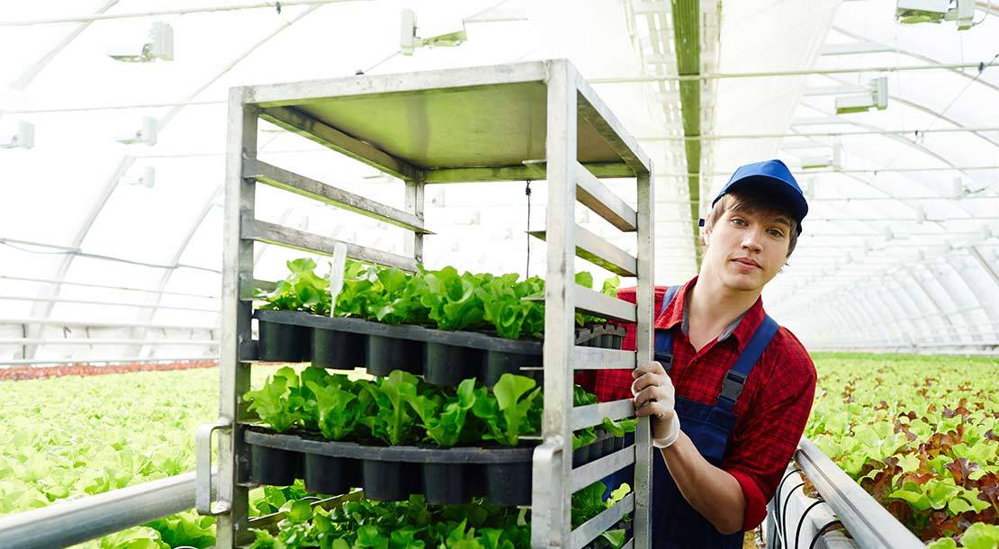 Fondaction consacrera 40 millions de dollars aux PME québécoises du secteur agroalimentaire
